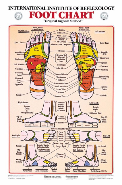 Reflexology Chart - How Reflexology works